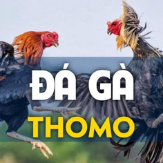 Nha cai DA GA THOMO