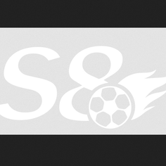 S 8