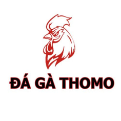 Đá gà Thomo