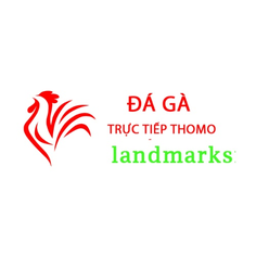 Thomo Hôm Nay Đá Gà Trực Tiếp