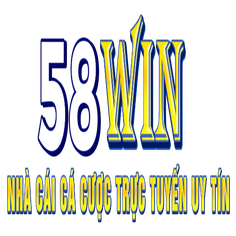 58Winvip skin