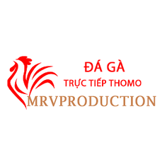 Đá Gà Trực Tiếp Thomo