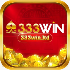 333Win ltd