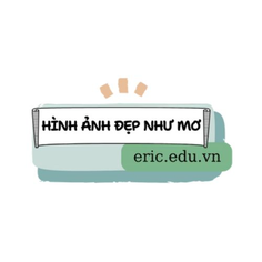 Eric Edu Vn