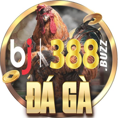 Bj388 buzz