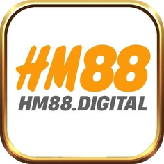 hm88 digital