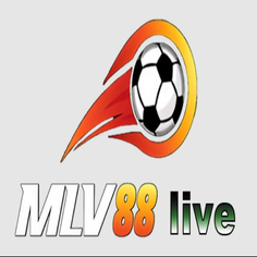 MLV88 live
