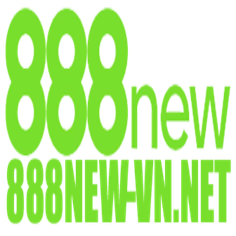 888new vn net