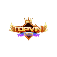 Topvin boats