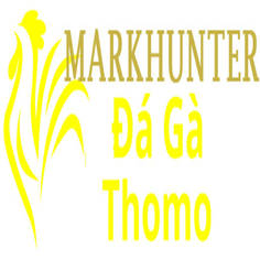 Đá Gà Trực Tiếp Thomo