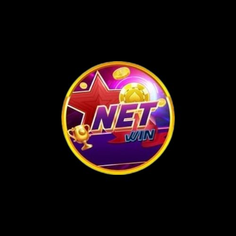 Netwin us com