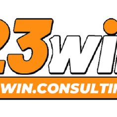 23Win consulting