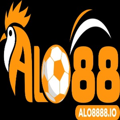 Alo8888 io