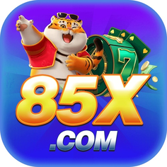85x net
