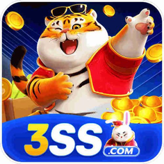 3 SS