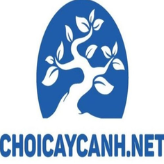 Chơi Cây Cảnh