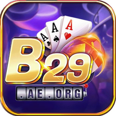 b29 aeorg