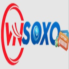 Vnsoxo com
