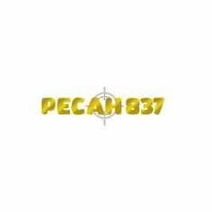pecah837 h837